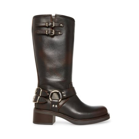 Botas Altas Steve Madden Axelle Cuero Mujer Marrones Oscuro | ES BH9812